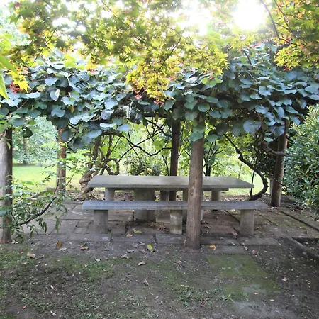 Il Pomelo By Interhome Germignaga